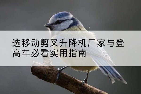 南海电动升降机厂家-选移动剪叉升降机厂家与登高车必看实用指南