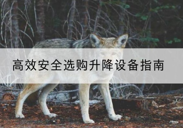 南海升降货梯厂家推荐-*安全选购升降设备指南